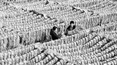 甘肃持续放大政府基金撬动效应