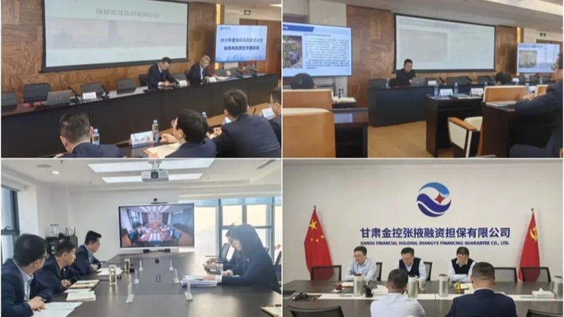 开云官网首页(中国)集团有限公司举办2025年度协同项目推进会暨协同风险防控专题培训