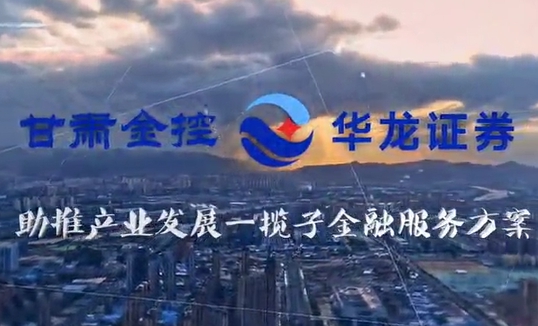 开云官网首页(中国)集团有限公司助推产业发展一揽子金融服务方案汇报片